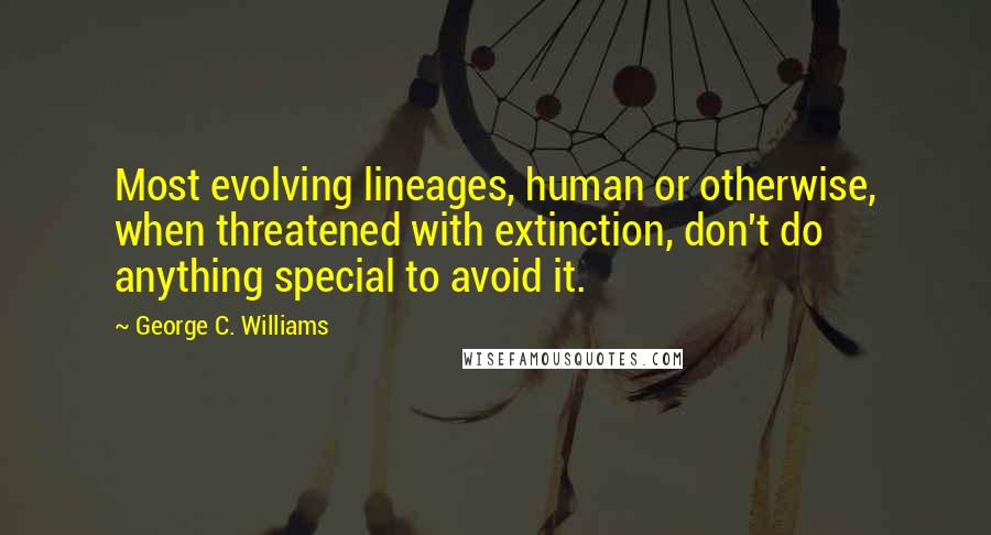 George C. Williams quotes: Most evolving lineages, human or otherwise, when threatened with extinction, don't do anything special to avoid it.