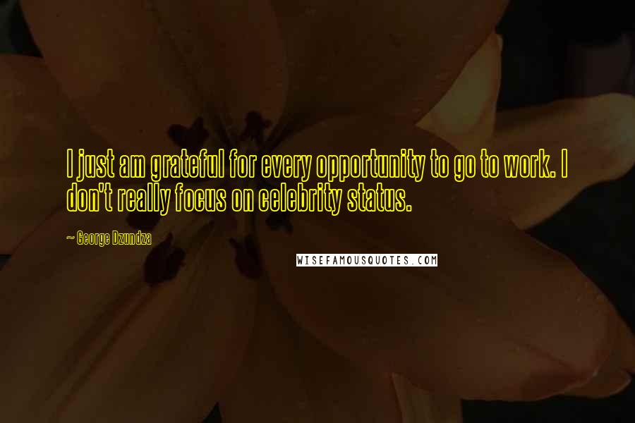 George Dzundza quotes: I just am grateful for every opportunity to go to work. I don't really focus on celebrity status.