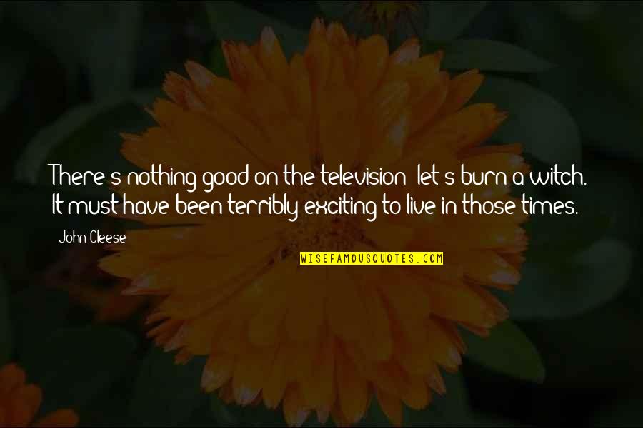 George Engel Quotes By John Cleese: There's nothing good on the television; let's burn George Engel Quotes By John Cleese: There's nothing good on the television; let's burn
