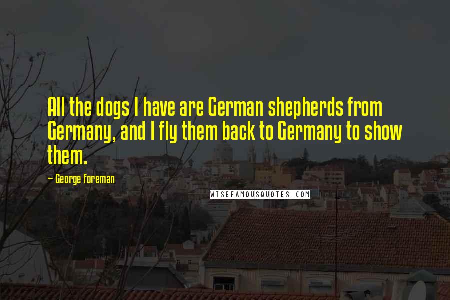 George Foreman quotes: All the dogs I have are German shepherds from Germany, and I fly them back to Germany to show them.