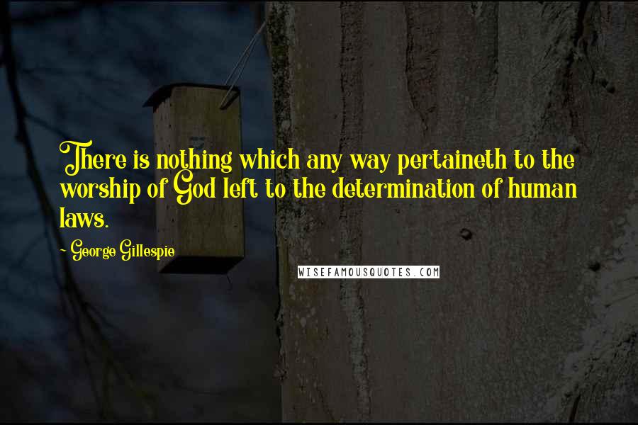 George Gillespie quotes: There is nothing which any way pertaineth to the worship of God left to the determination of human laws.