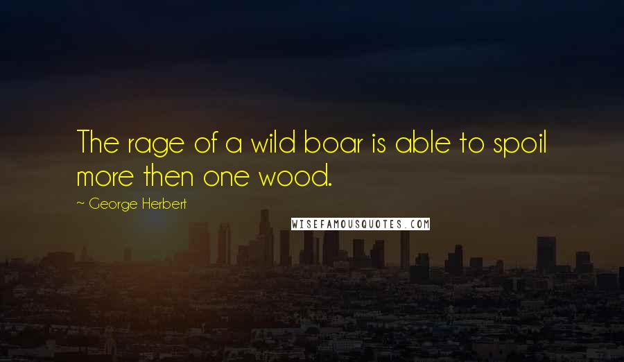 George Herbert quotes: The rage of a wild boar is able to spoil more then one wood.
