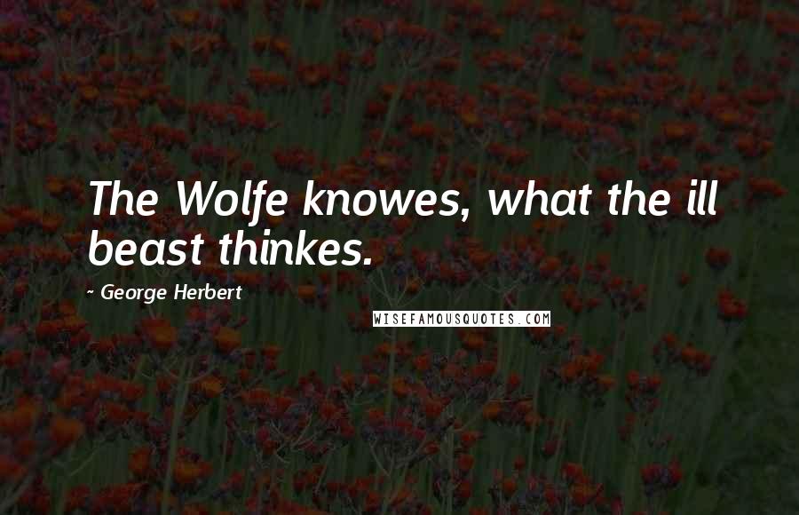 George Herbert quotes: The Wolfe knowes, what the ill beast thinkes.