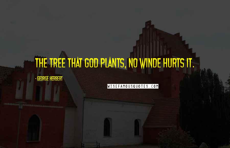 George Herbert quotes: The tree that God plants, no winde hurts it.
