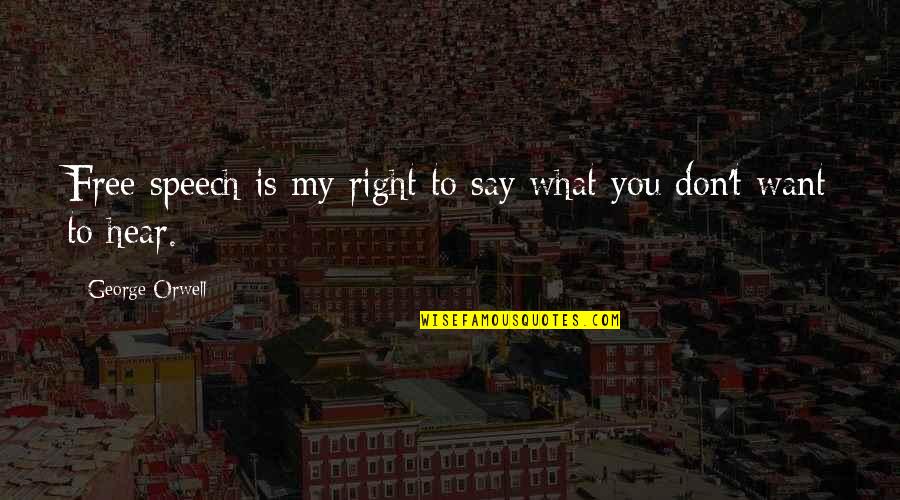 George Orwell Free Speech Quotes By George Orwell: Free speech is my right to say what George Orwell Free Speech Quotes By George Orwell: Free speech is my right to say what