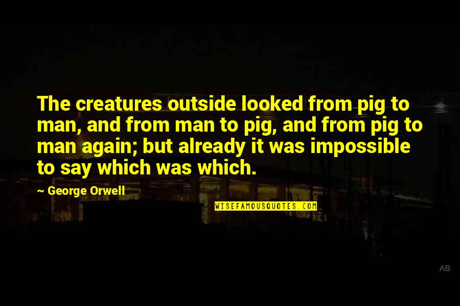 George Pig Quotes By George Orwell: The creatures outside looked from pig to man,