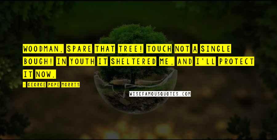 George Pope Morris quotes: Woodman, spare that tree! Touch not a single bough! In youth it sheltered me, And I'll protect it now.