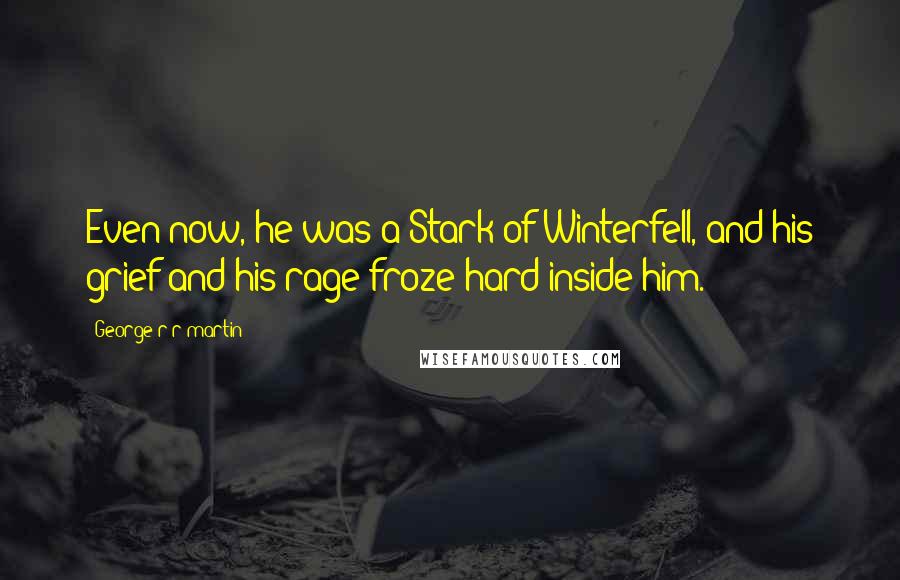 George R R Martin quotes: Even now, he was a Stark of Winterfell, and his grief and his rage froze hard inside him.