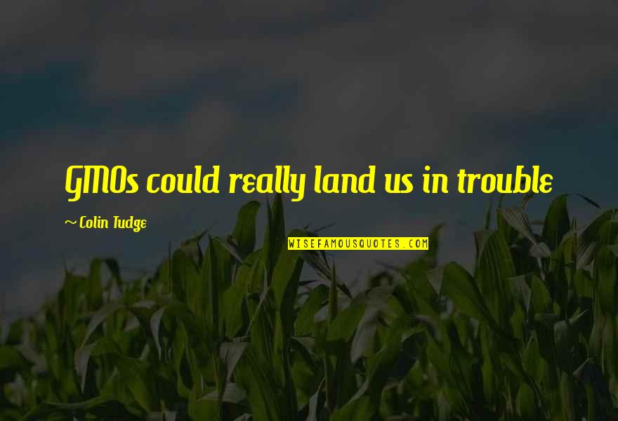 George Remus Quotes By Colin Tudge: GMOs could really land us in trouble