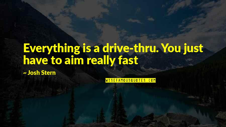 George Saitoti Quotes By Josh Stern: Everything is a drive-thru. You just have to