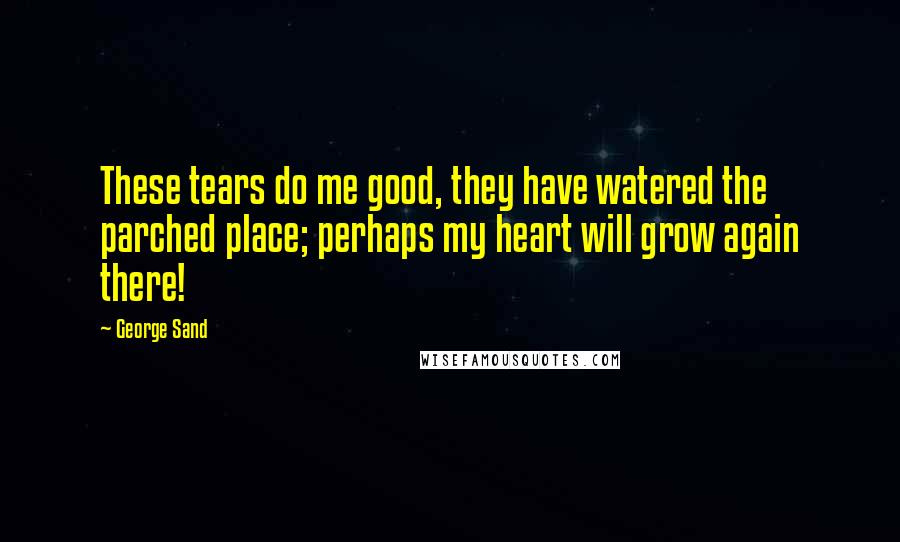 George Sand quotes: These tears do me good, they have watered the parched place; perhaps my heart will grow again there! George Sand quotes: These tears do me good, they have watered the parched place; perhaps my heart will grow again there!