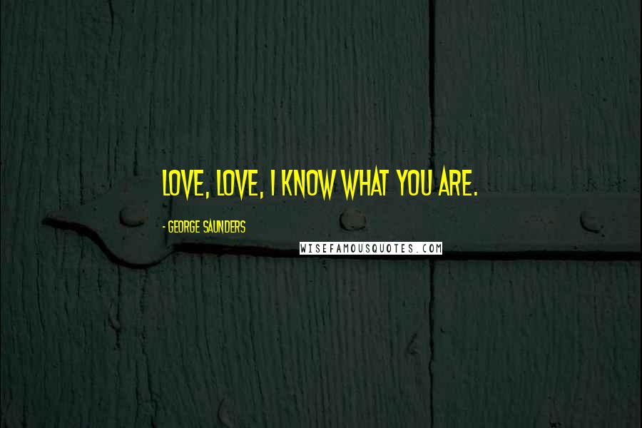George Saunders quotes: Love, love, I know what you are.
