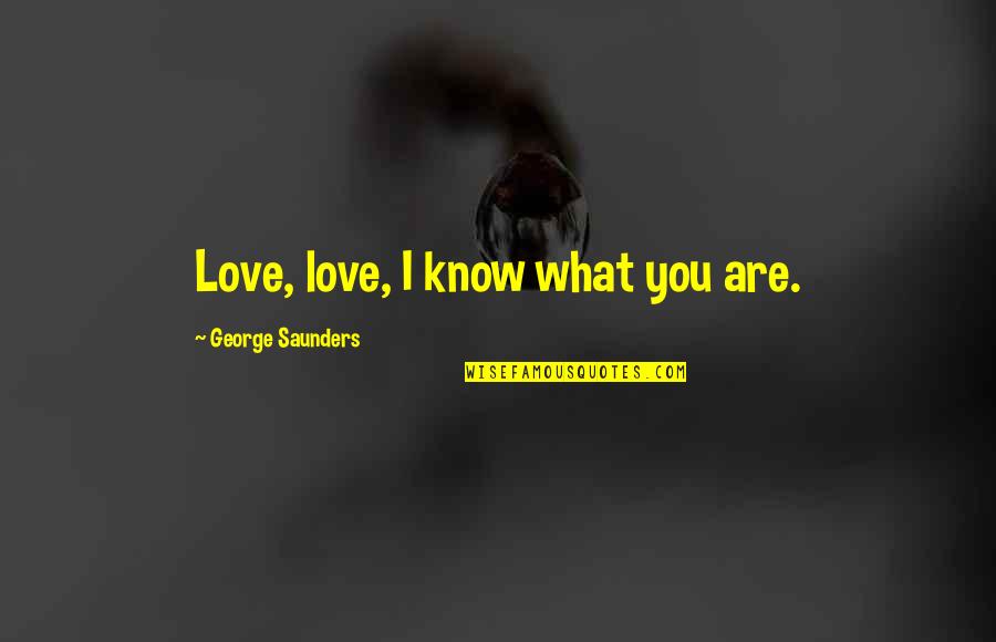 George Saunders Quotes By George Saunders: Love, love, I know what you are.