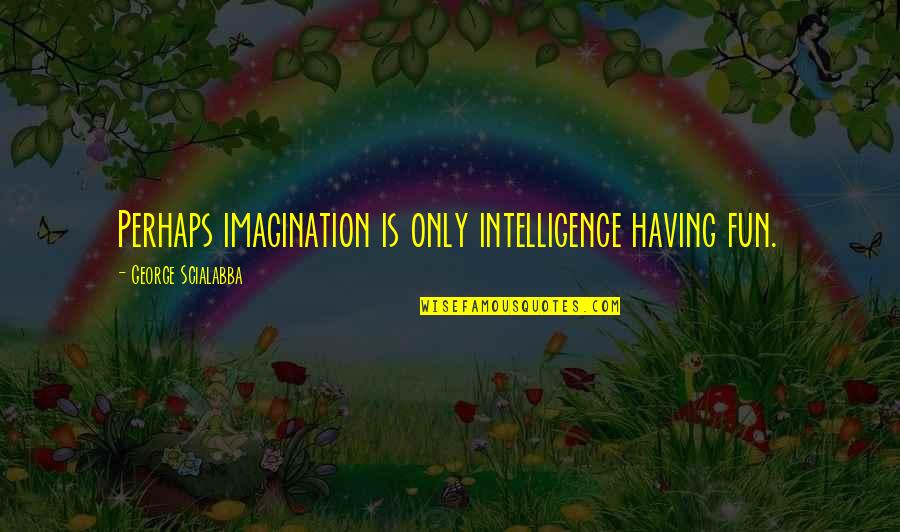 George Scialabba Quotes By George Scialabba: Perhaps imagination is only intelligence having fun.