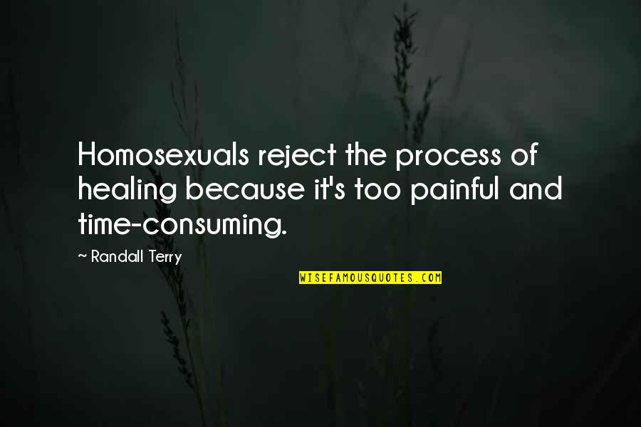 George Stroumboulopoulos Quotes By Randall Terry: Homosexuals reject the process of healing because it's