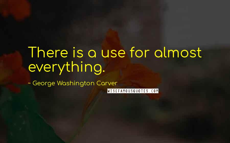 George Washington Carver quotes: There is a use for almost everything.
