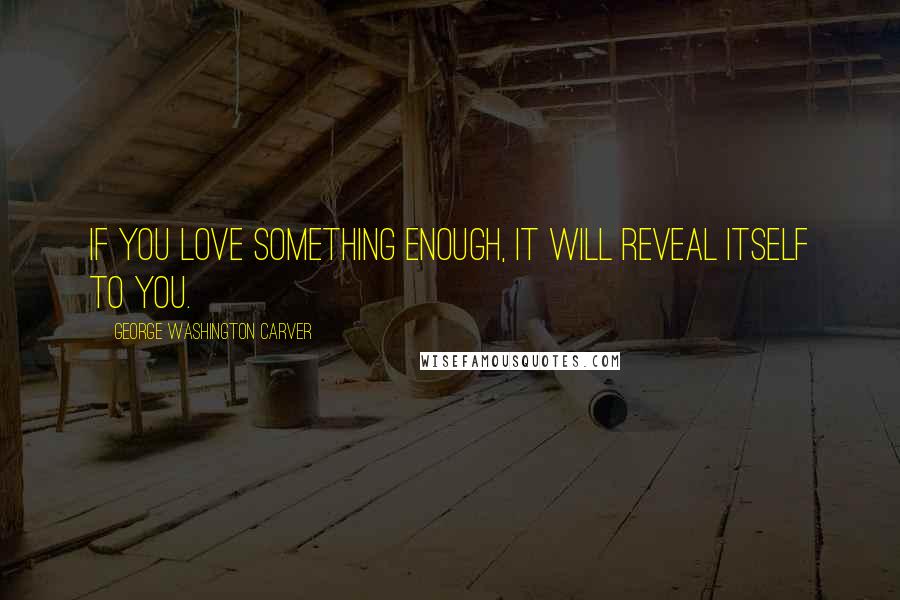 George Washington Carver quotes: If you love something enough, it will reveal itself to you.