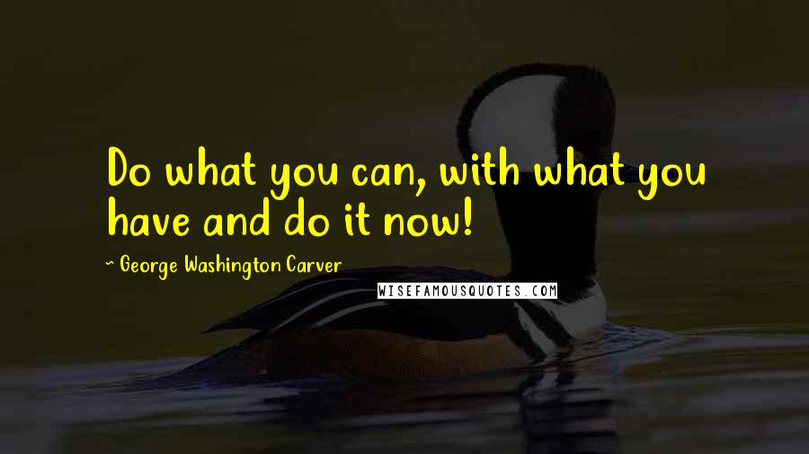 George Washington Carver quotes: Do what you can, with what you have and do it now!