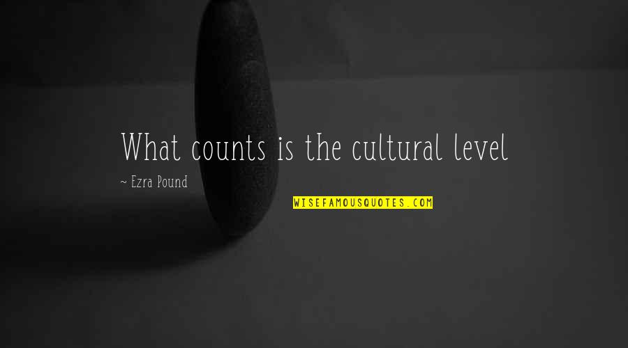 Georgeana Bobos Kristof Quotes By Ezra Pound: What counts is the cultural level