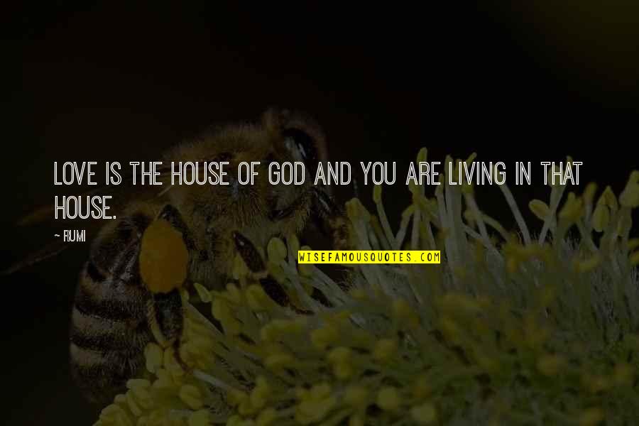Georgenson And Associates Quotes By Rumi: Love is the house of God and you