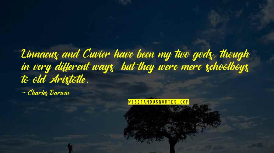 Georges Cuvier Quotes By Charles Darwin: Linnaeus and Cuvier have been my two gods,