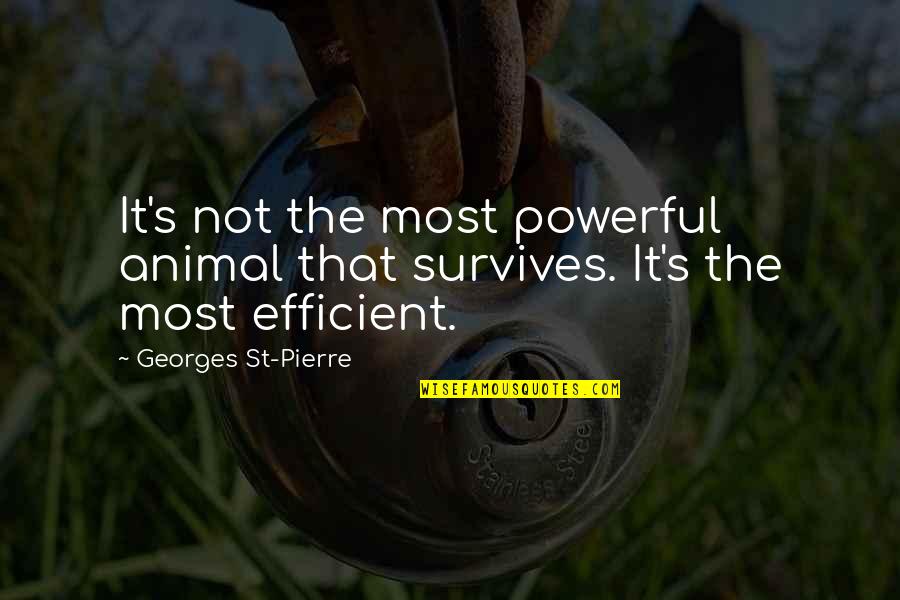 Georges Pierre Quotes By Georges St-Pierre: It's not the most powerful animal that survives.