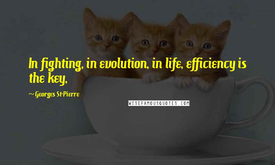 Georges St-Pierre quotes: In fighting, in evolution, in life, efficiency is the key,