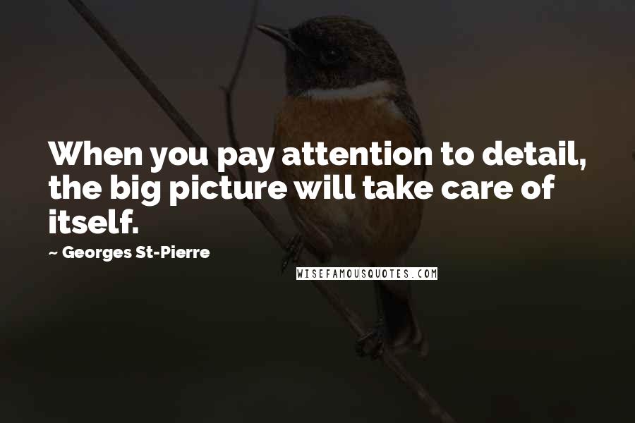 Georges St-Pierre quotes: When you pay attention to detail, the big picture will take care of itself.