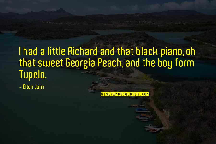 Georgia Boy Quotes By Elton John: I had a little Richard and that black