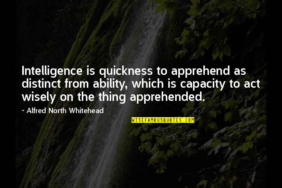 Georgia Guidestones Quotes By Alfred North Whitehead: Intelligence is quickness to apprehend as distinct from