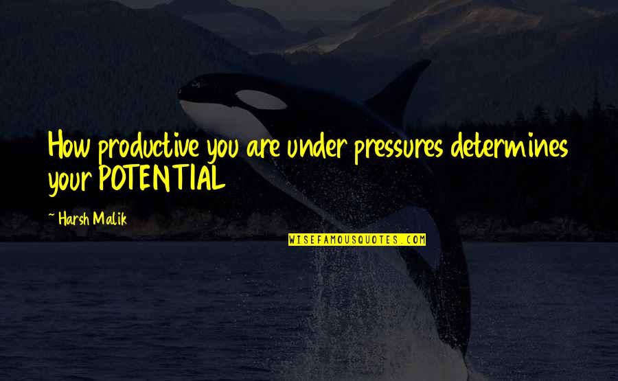 Georgiano Gator Quotes By Harsh Malik: How productive you are under pressures determines your