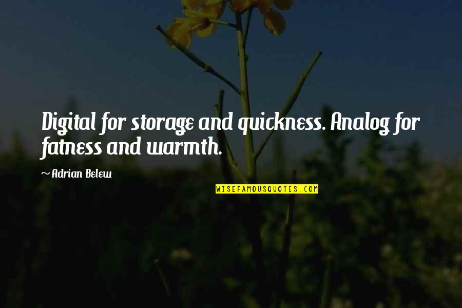 Georgics Book Quotes By Adrian Belew: Digital for storage and quickness. Analog for fatness