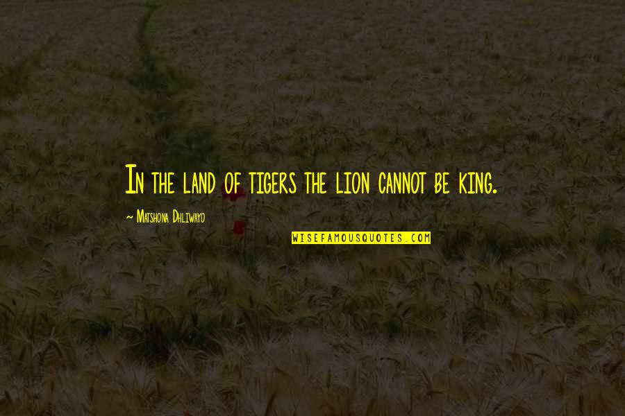 Georgics Virgil Quotes By Matshona Dhliwayo: In the land of tigers the lion cannot