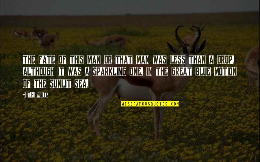 Gep Cktr Ger Fahrrad Quotes By T.H. White: The fate of this man or that man