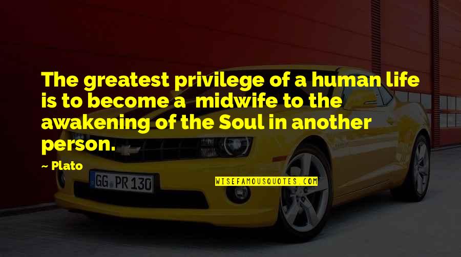 Gerace Construction Quotes By Plato: The greatest privilege of a human life is Gerace Construction Quotes By Plato: The greatest privilege of a human life is