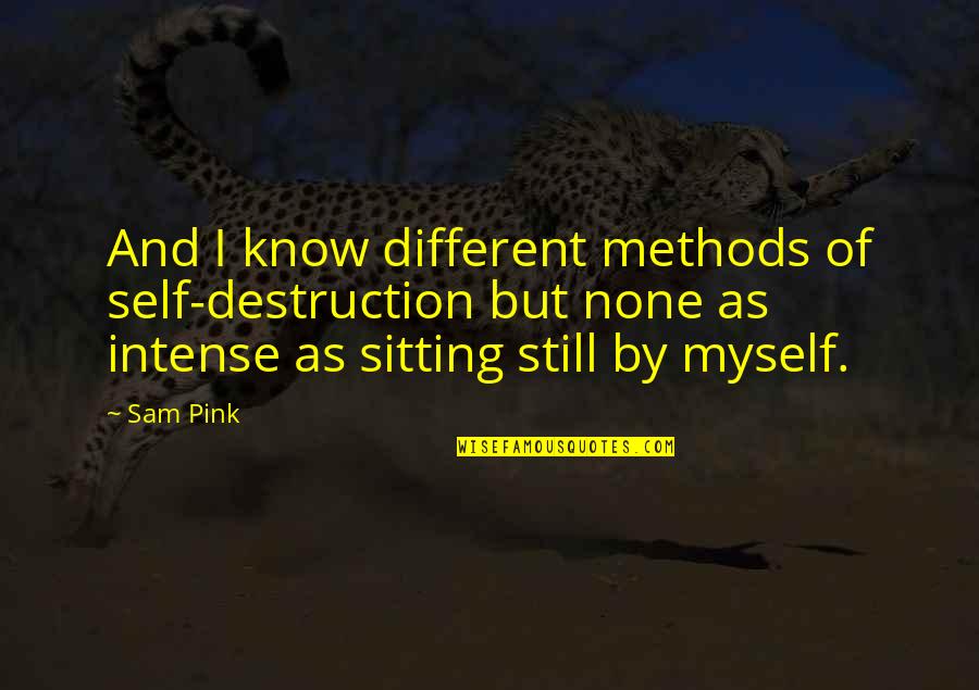 Geraden Im Quotes By Sam Pink: And I know different methods of self-destruction but Geraden Im Quotes By Sam Pink: And I know different methods of self-destruction but