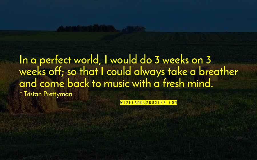 Geraden Quotes By Tristan Prettyman: In a perfect world, I would do 3