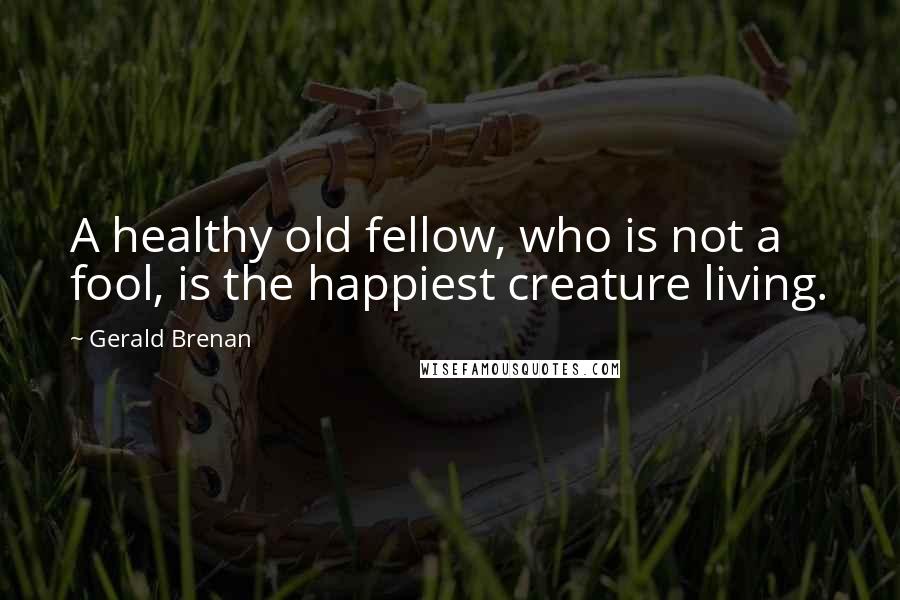 Gerald Brenan quotes: A healthy old fellow, who is not a fool, is the happiest creature living.