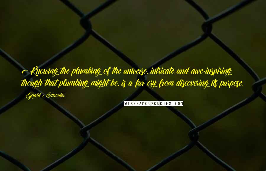 Gerald Schroeder quotes: Knowing the plumbing of the universe, intricate and awe-inspiring though that plumbing might be, is a far cry from discovering its purpose.