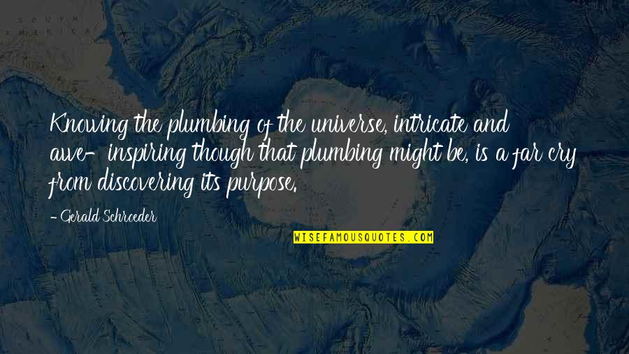 Gerald Schroeder Quotes By Gerald Schroeder: Knowing the plumbing of the universe, intricate and Gerald Schroeder Quotes By Gerald Schroeder: Knowing the plumbing of the universe, intricate and