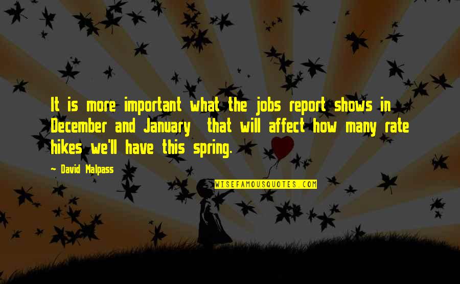 Geraldes Lino Quotes By David Malpass: It is more important what the jobs report Geraldes Lino Quotes By David Malpass: It is more important what the jobs report