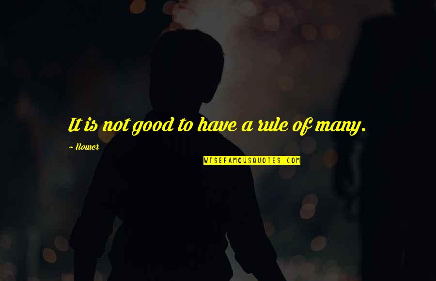 Gerami Builders Quotes By Homer: It is not good to have a rule