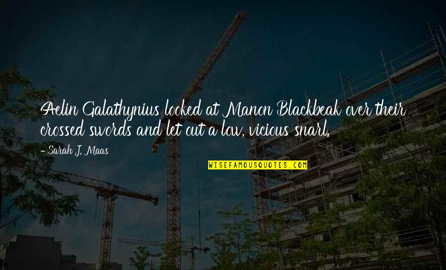 Gerardo Ortiz Life Quotes By Sarah J. Maas: Aelin Galathynius looked at Manon Blackbeak over their Gerardo Ortiz Life Quotes By Sarah J. Maas: Aelin Galathynius looked at Manon Blackbeak over their