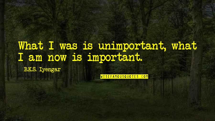 Gerardus Widdershoven Quotes By B.K.S. Iyengar: What I was is unimportant, what I am Gerardus Widdershoven Quotes By B.K.S. Iyengar: What I was is unimportant, what I am