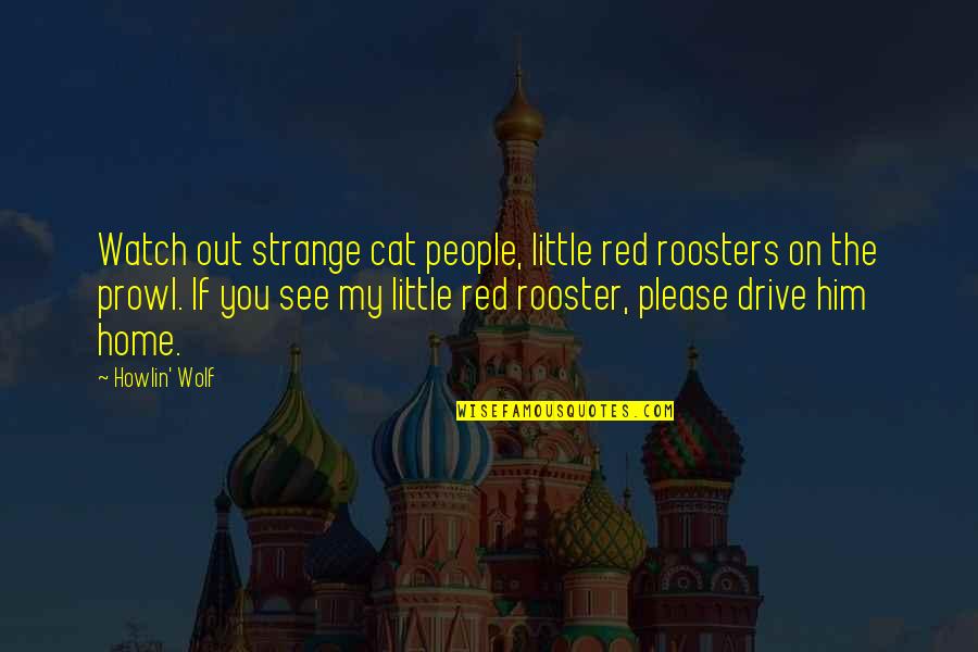Geraten In English Quotes By Howlin' Wolf: Watch out strange cat people, little red roosters Geraten In English Quotes By Howlin' Wolf: Watch out strange cat people, little red roosters