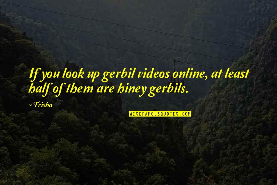 Gerbil Quotes By Trisha: If you look up gerbil videos online, at