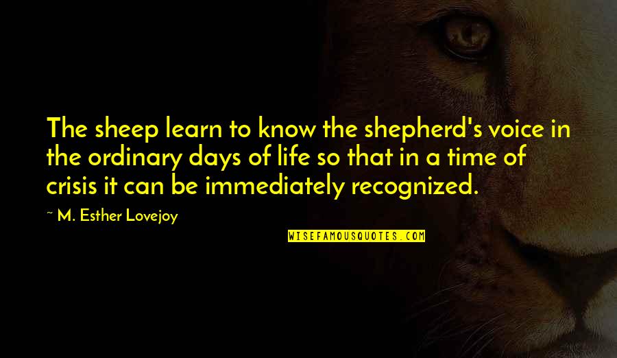 Gerbille On Wheels Quotes By M. Esther Lovejoy: The sheep learn to know the shepherd's voice