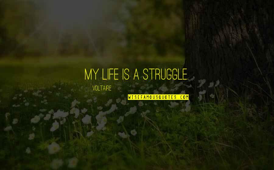 Geremek Wiki Quotes By Voltaire: My life is a struggle. Geremek Wiki Quotes By Voltaire: My life is a struggle.