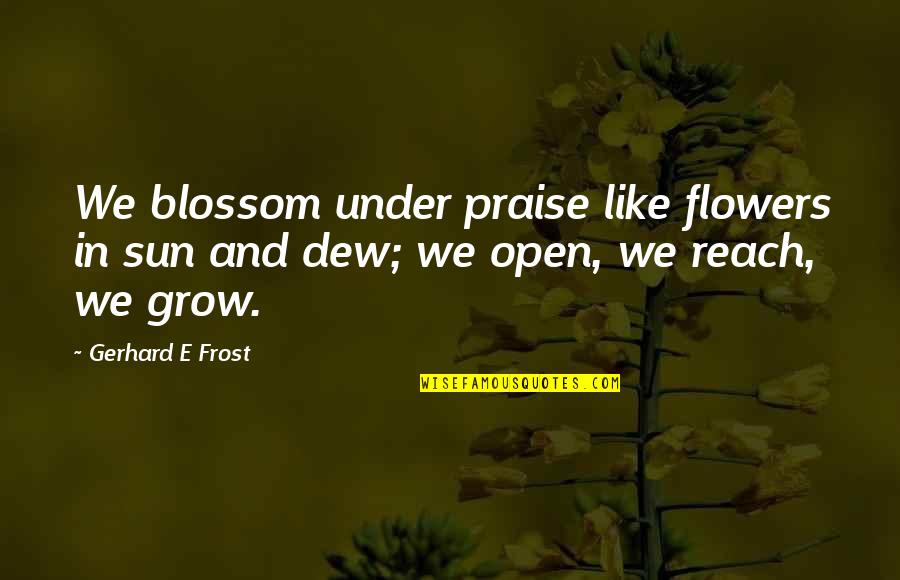 Gerhard Frost Quotes By Gerhard E Frost: We blossom under praise like flowers in sun