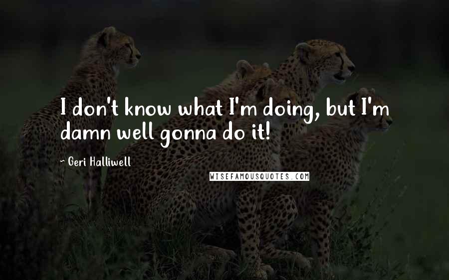 Geri Halliwell quotes: I don't know what I'm doing, but I'm damn well gonna do it!